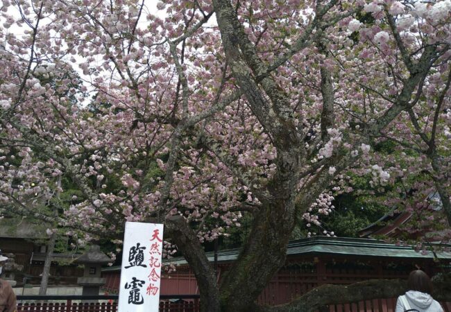 塩竈神社③